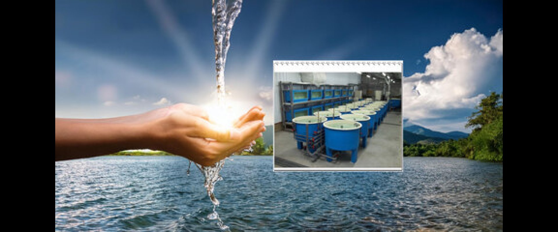 「四十年堅持，只為給台灣更好的綠能生活」