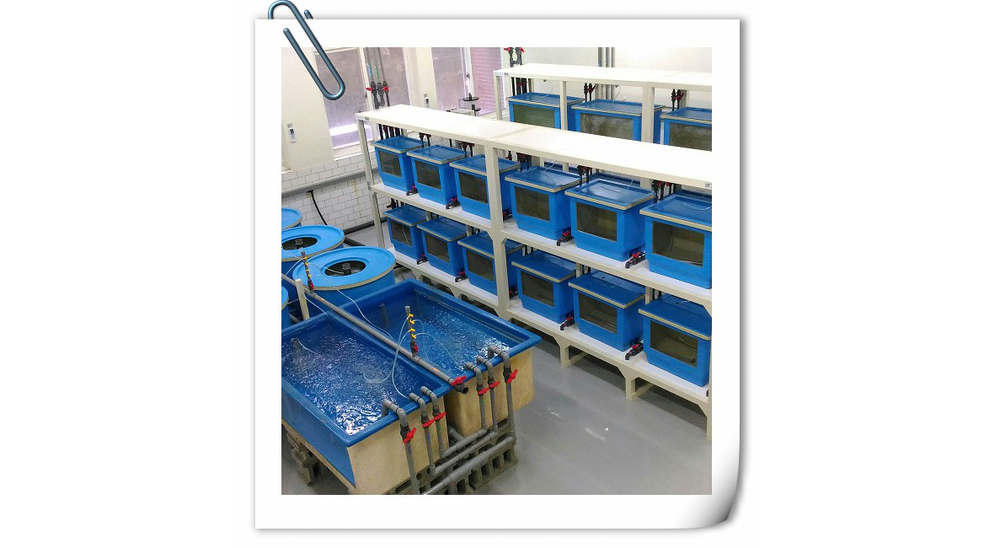 機關學校